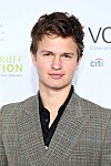 Ansel ElgortAnsel slog snabbt igenom i Divergent-trilogin och filmen The fault in our stars. Men stj&auml;rnan hade f&aring;tt k&auml;nna p&aring; lyxlivet sedan tidigare. Hans pappa &auml;r n&auml;mligen en k&auml;nd fotograf f&ouml;r modemagasinet Vogue och kl&auml;dm&auml;rket Chanel och mamman regisserar opera. Ansel v&auml;xte upp i de fina kvarteren p&aring; Upper east side (d&auml;r Gossip Girl spelats in) i New York.