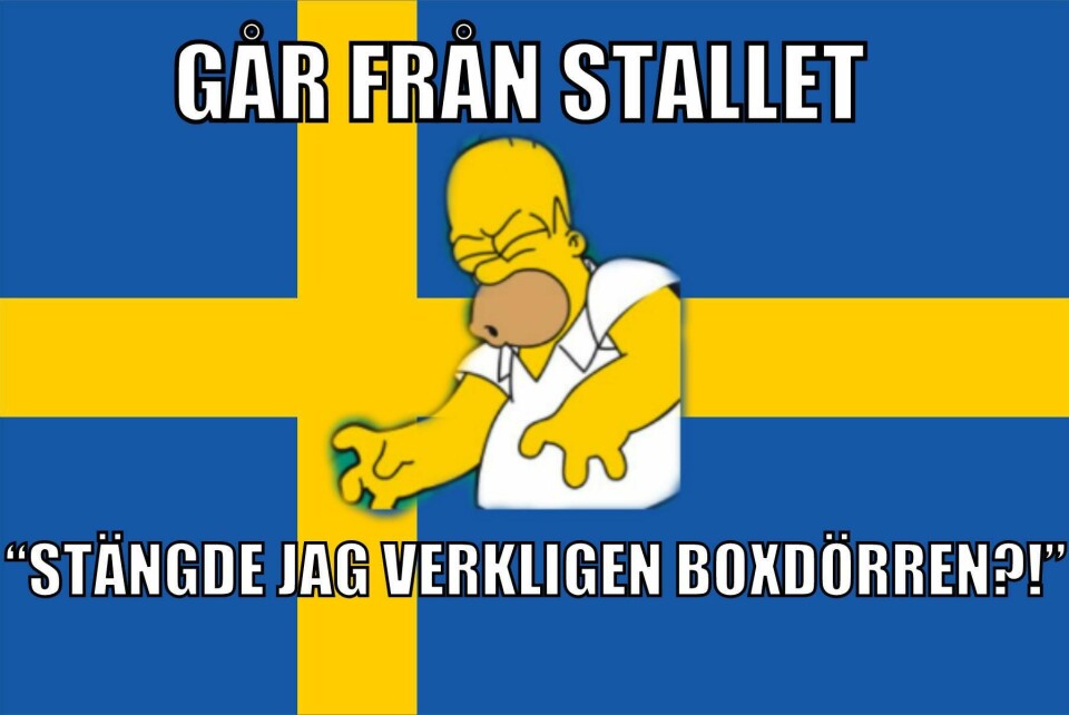 19 saker du bara förstår om du är en riktig hästmänniska