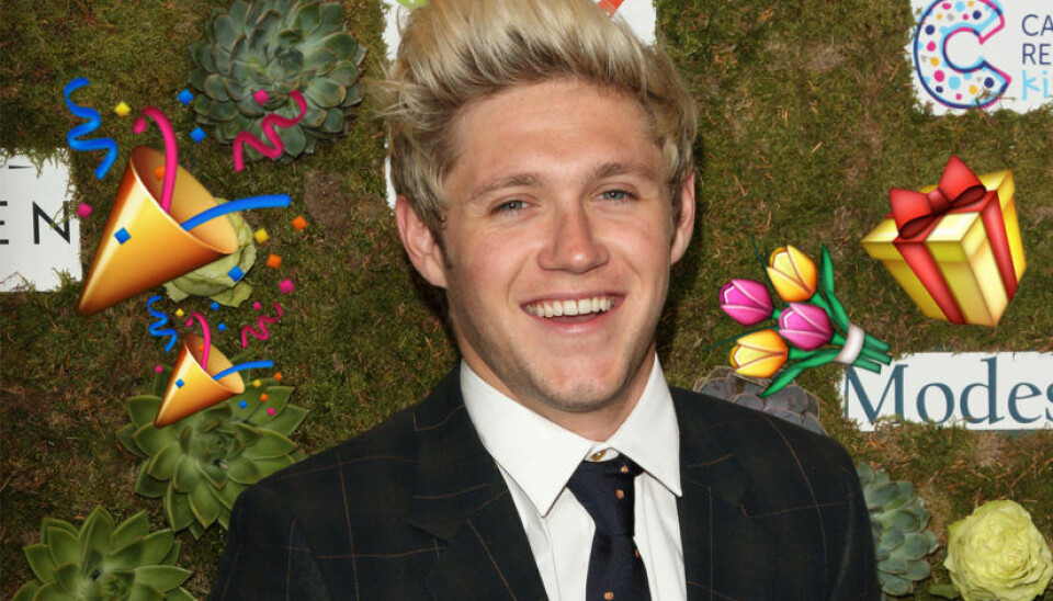 11 anledningar till att Niall Horan är världens bästa kille