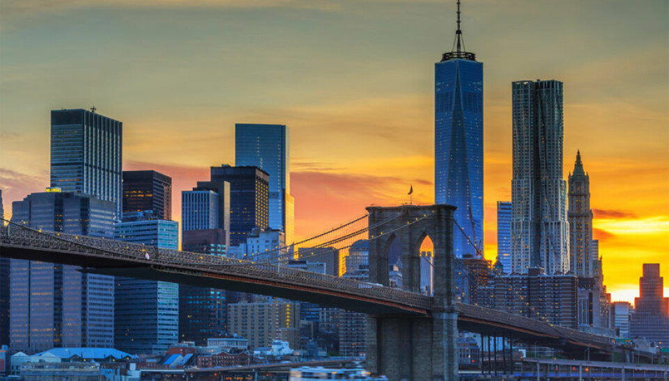 New York sightseeing – allt du måste se