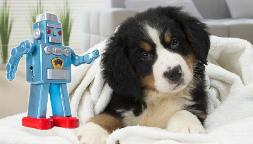Här är robotarna som ska hjälpa oss att prata med djur