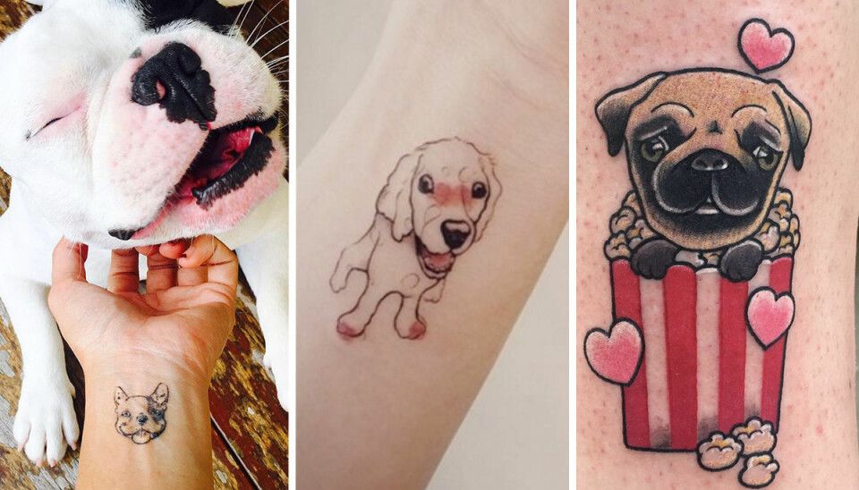 37 söta hundtatueringar att inspireras av när du fyller 18