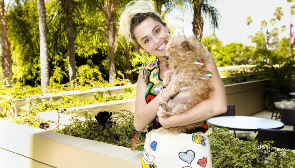 Miley Cyrus om att vara pansexuell: “Jag har aldrig förstått mitt eget kön”