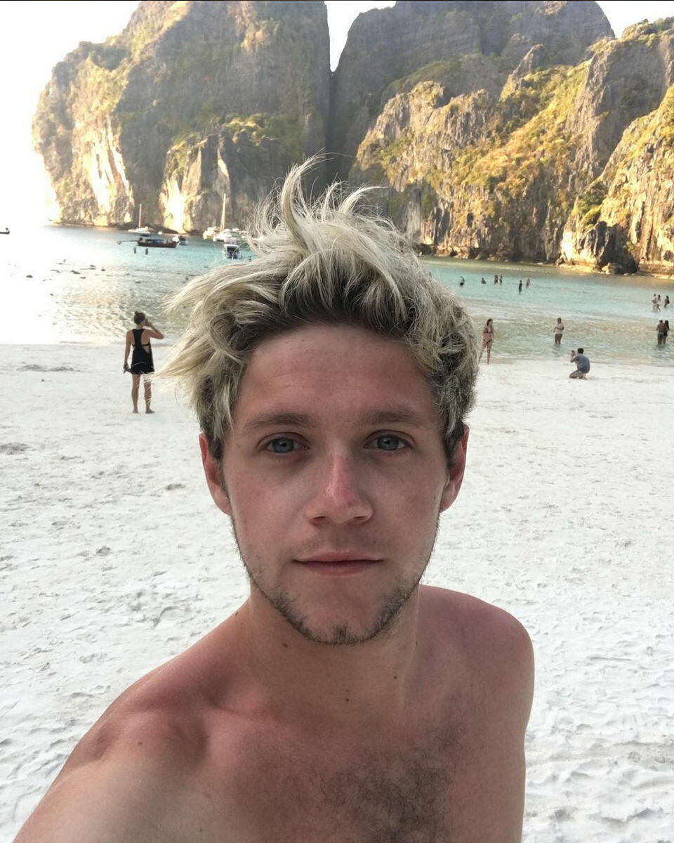 Vilken Niall Horan-selfie gillar du bäst?