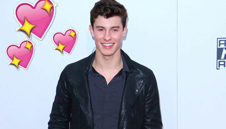 OMG! Shawn Mendes kan tänka sig att dejta ett fan