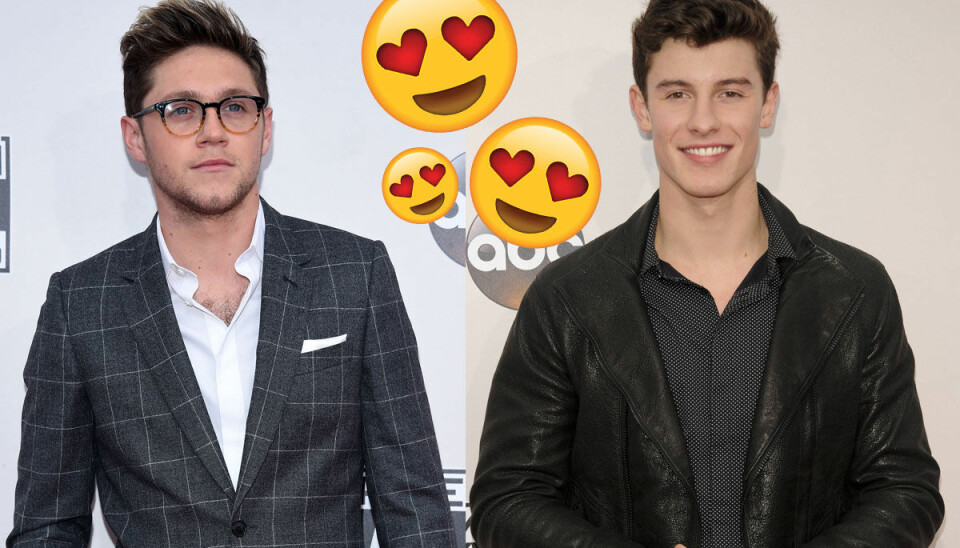 Här sjunger Shawn Mendes och Niall Horan en duett (så fint!)