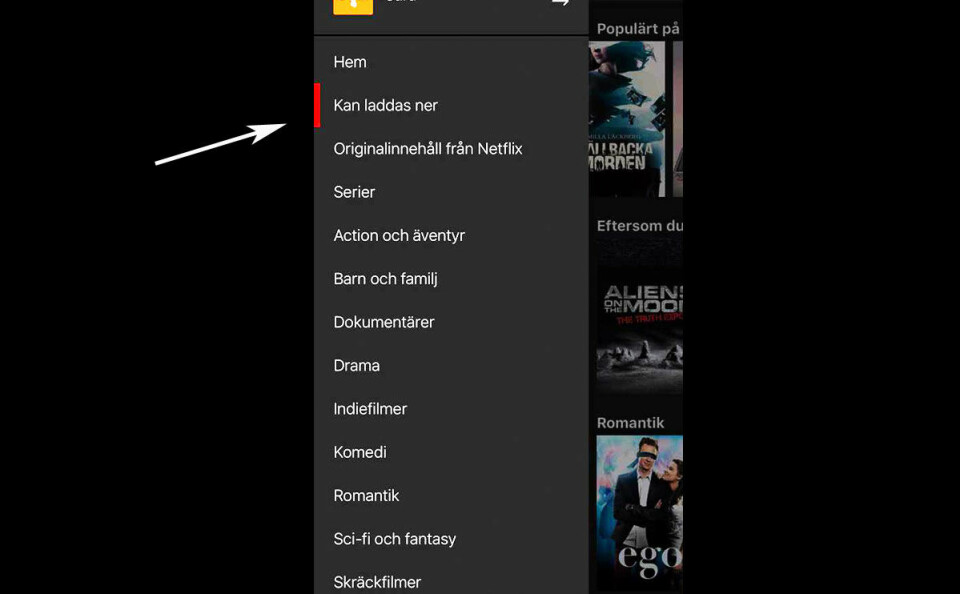 Titta på Netflix utan internet – så gör du