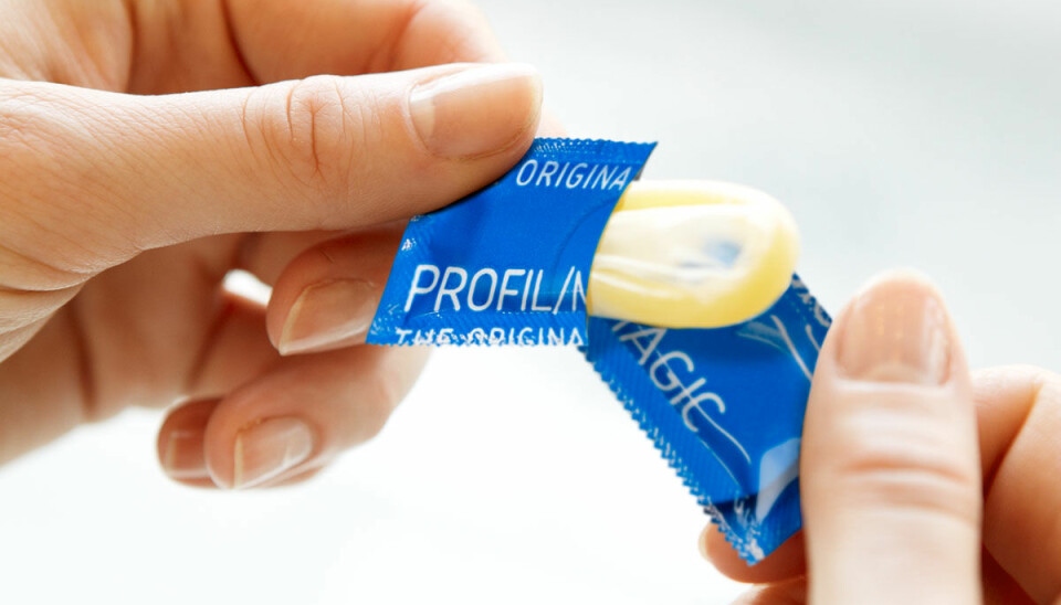 Fråga FRIDA: Varför finns det olika kondomer?
