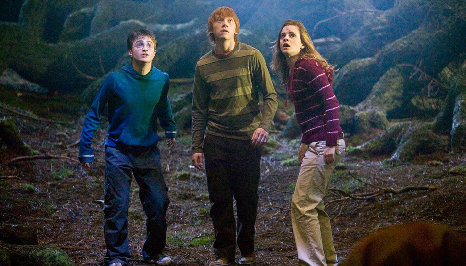 Nu kan du besöka den ”förbjudna skogen” som finns i Harry Potter