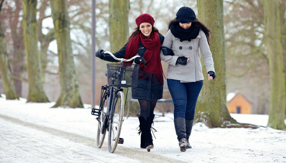 Test: Vilken sportlovstyp är du?