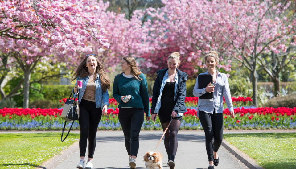 16 saker att göra med din BFF i vår
