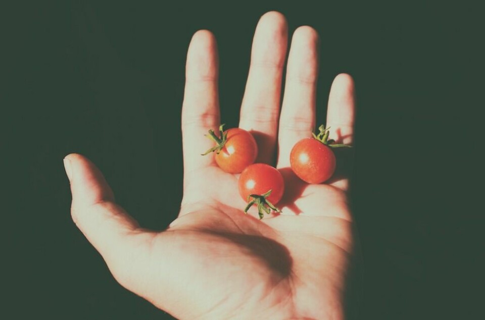 20. Odla egna tomater, physalis eller sockerärtor och gå och småät i trädgården hela sommaren.