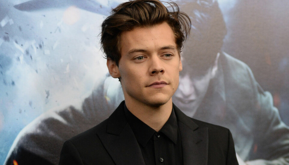 Harry Styles ska vara med i en ny tv-show