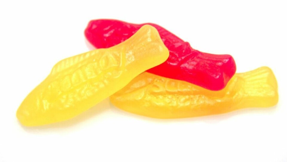 Scandicandy fiskar