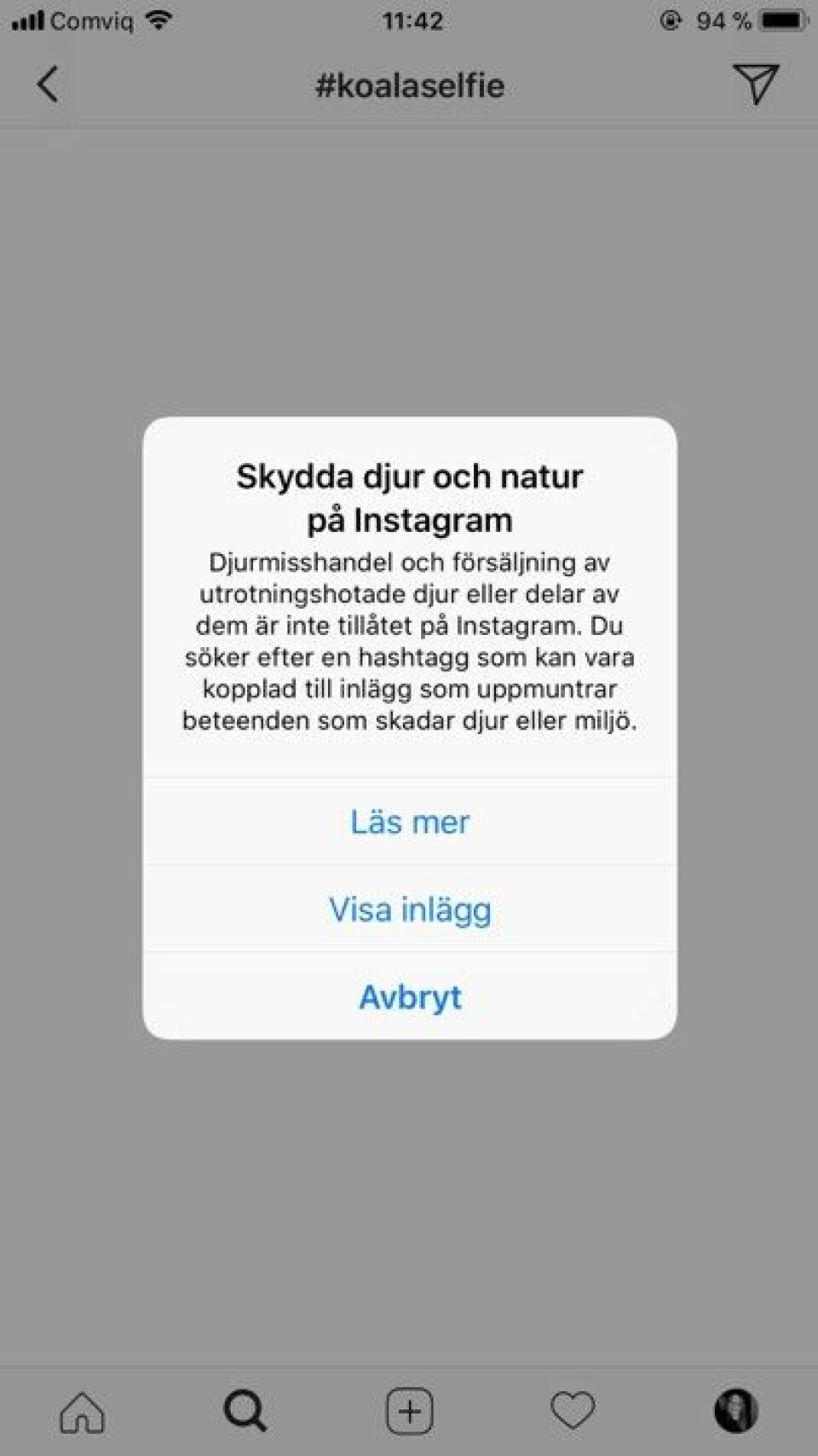 Instagrams nya funktion ska motverka djurplågeri