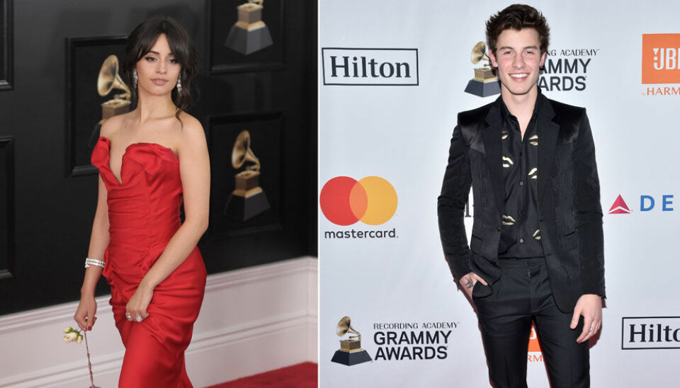 Se bilden som får fansen att tro att Camila Cabello och Shawn Mendes dejtar