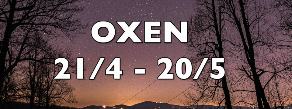 Hösthoroskop för oxen 2018. Hösthoroskop för oxen 2018.