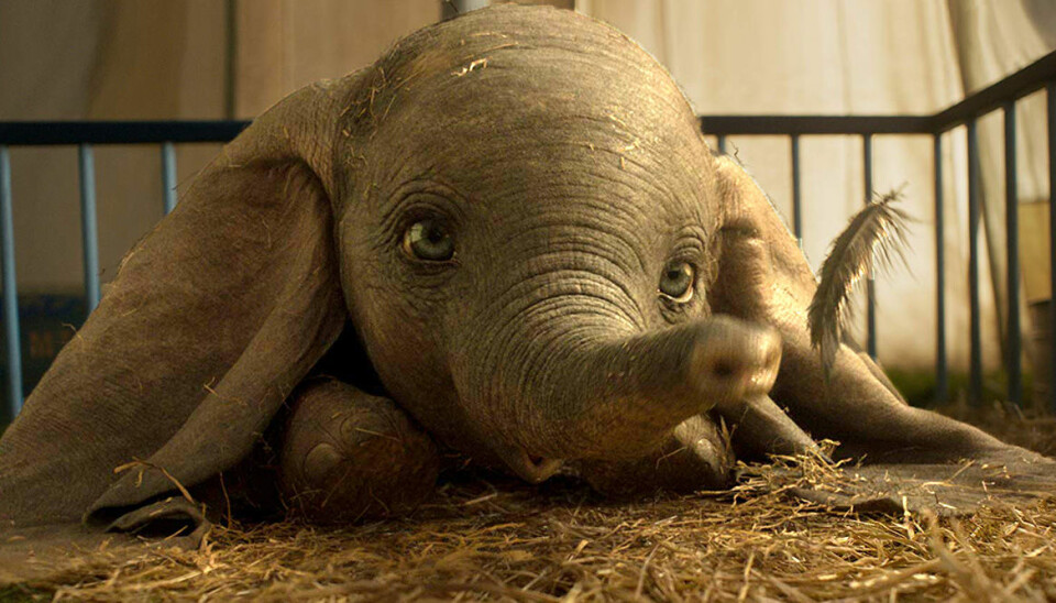 Se trailern till Disneys otecknade film Dumbo här