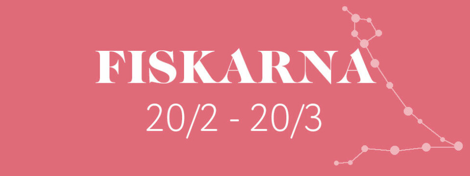 Årshoroskop: Så kommer ditt 2019 att bli