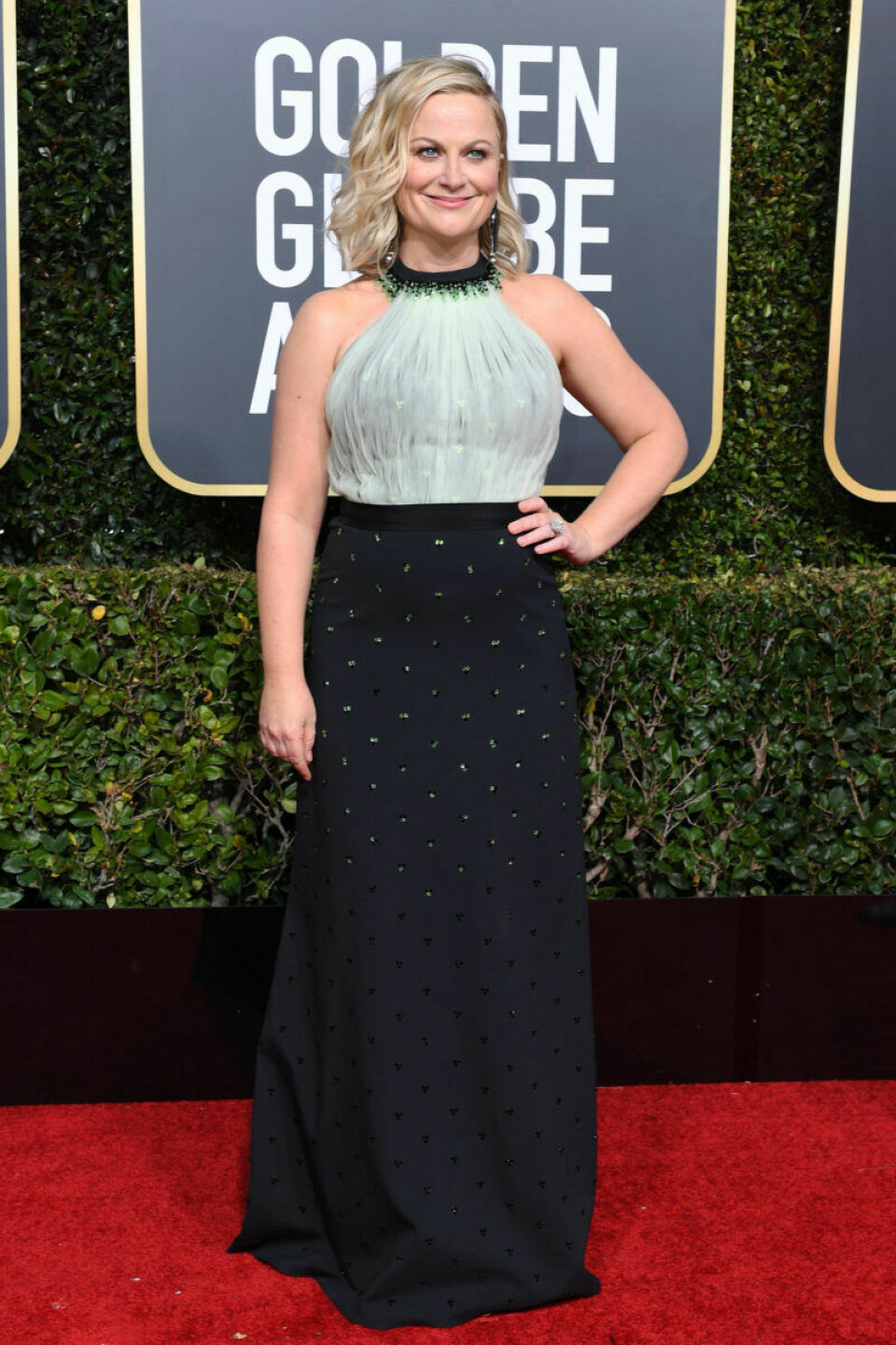 Amy Poehler på röda mattan. Amy Poehler på röda mattan.