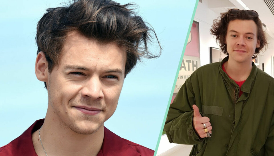 Fansen jublar! Harry Styles lockar är tillbaka