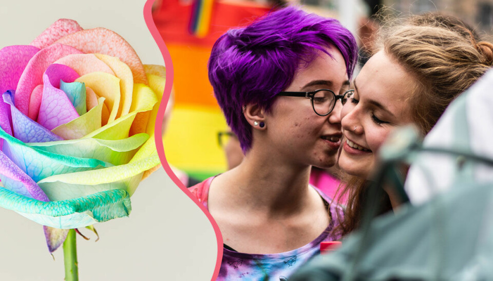 Så gör du en regnbågsfärgad Pride-ros
