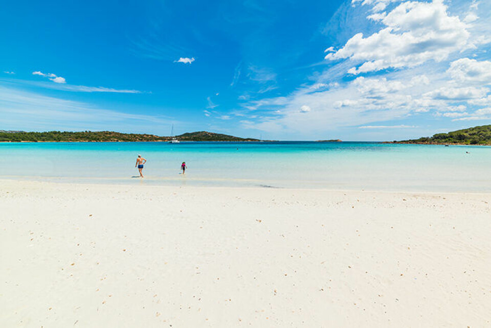 Foto: Shutterstock Foto: Shutterstock