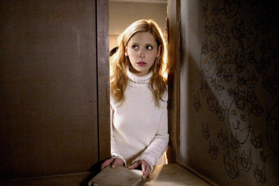 Sarah Michelle Gellar spelar sjuksköterskan Karen Davis i The Grudge (2004). Sarah Michelle Gellar spelar sjuksköterskan Karen Davis i The Grudge (2004).