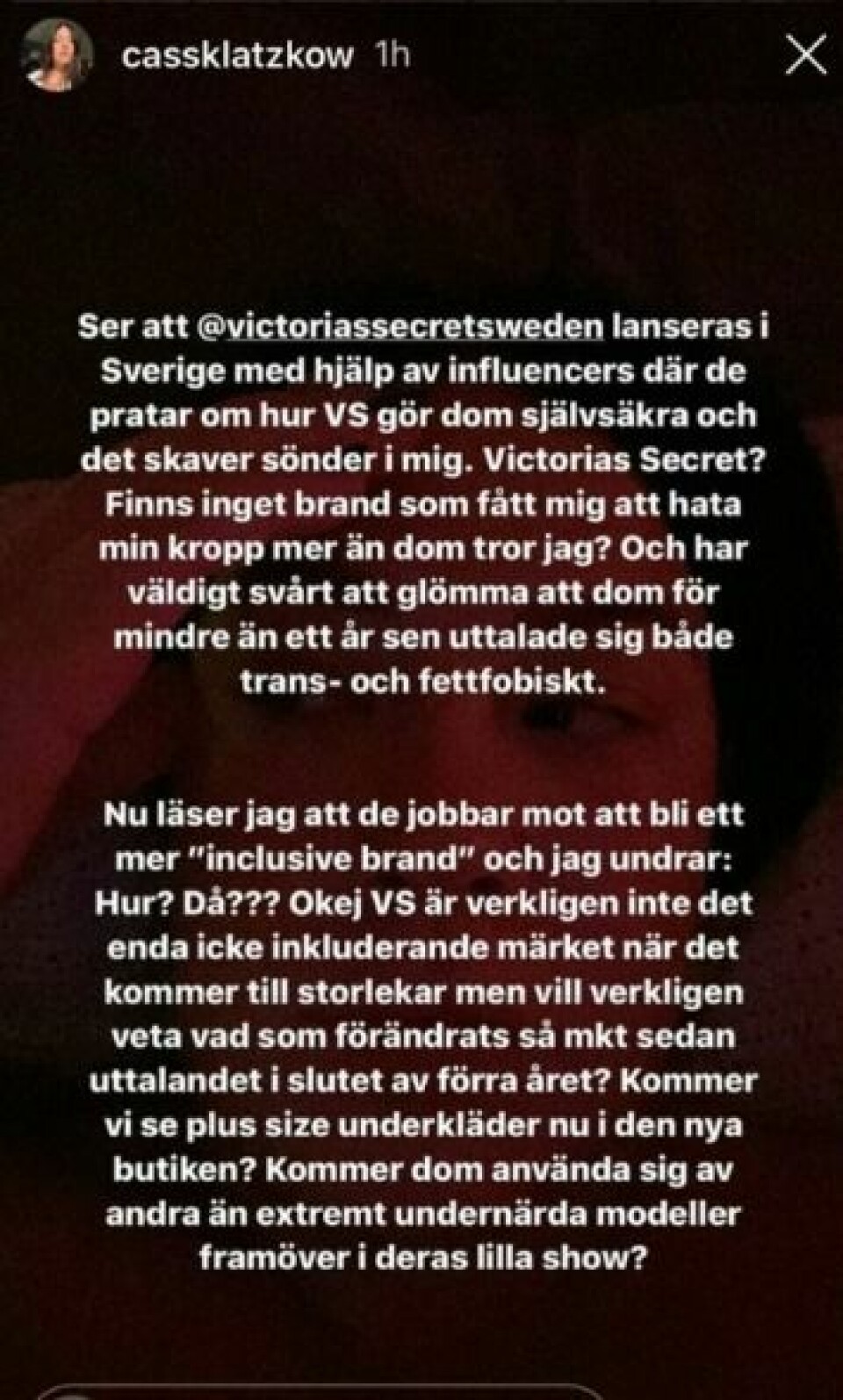 Peg Parnevik om Victoria's Secret Sweden: 'Självhat med en rosett'
