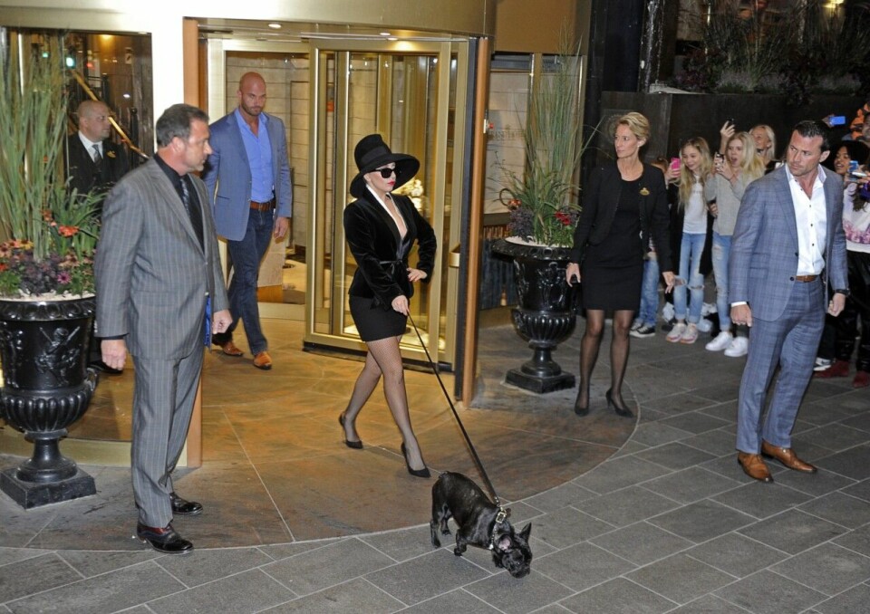Lady Gaga med sin franska bulldog Asia. Lady Gaga med sin franska bulldog Asia.
