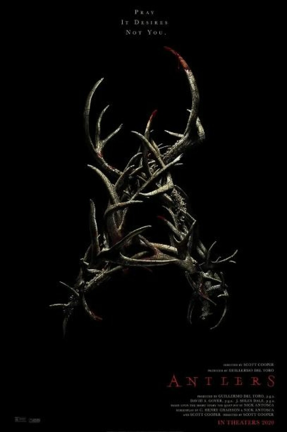 Antlers. Antlers.