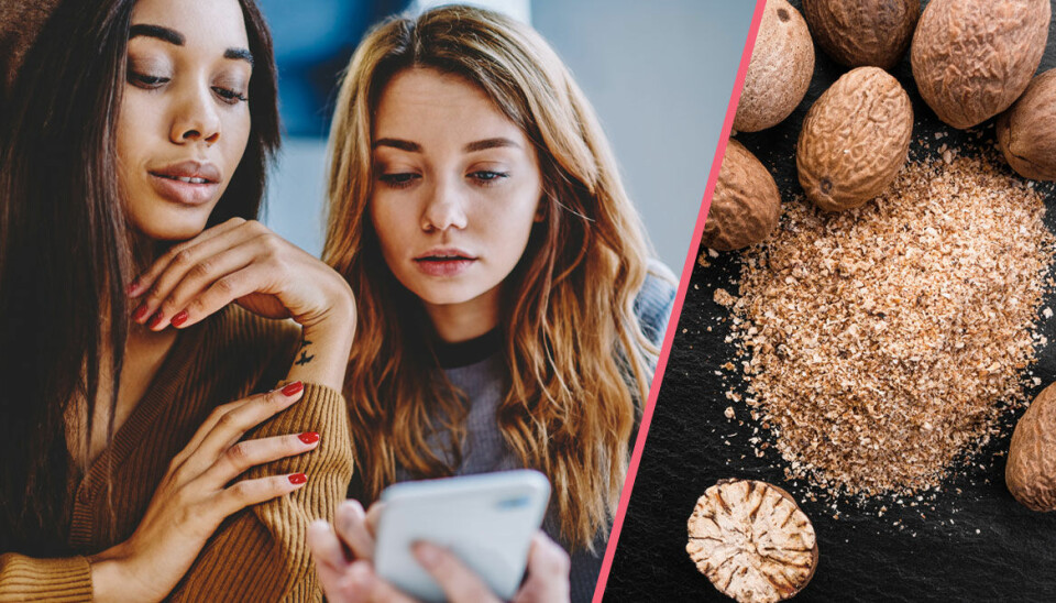 Farliga utmaningen på TikTok – muskotnöt är giftigt