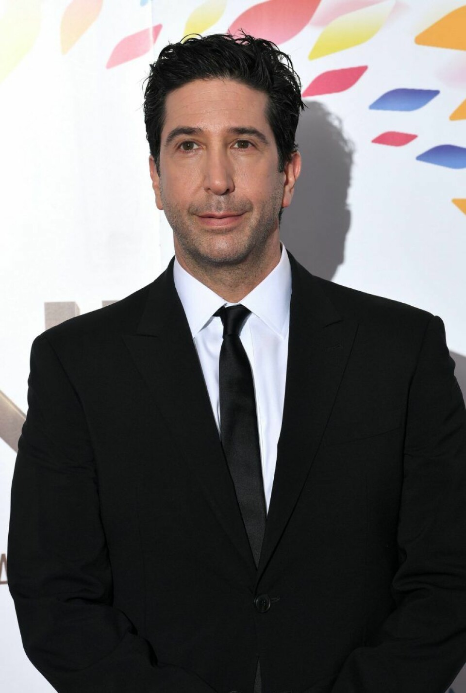 David Schwimmer spelade Ross. David Schwimmer spelade Ross.